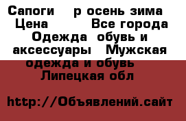 Сапоги 35 р.осень-зима  › Цена ­ 700 - Все города Одежда, обувь и аксессуары » Мужская одежда и обувь   . Липецкая обл.